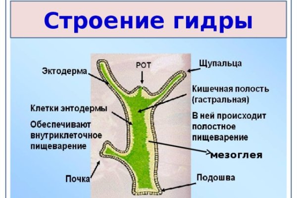 Кракен тор krakens13 at